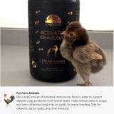 Small chicken standing next to a bottle of Schizandu Activated Charcoal for greyhounds.