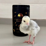 A chick with the product Activated Charcoal for greyhounds and their friends, Schizandu