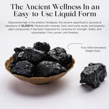 Shilajit resin in a bowl with text about its ancient wellness properties.