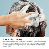Person washing hair with schizandu shampoo bar,using soapy hands against a light blue background, schizandu