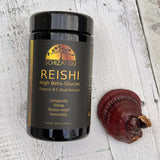 Schizandu Reishi Mushroom Extract jar with real organic reishi mushroom beside it