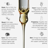 benefits of Pure algae-based Omega-3 DHA in oil form for daily wellness.