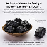 Shilajit resin in a bowl with text about its sourcing and benefits on a white background