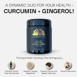 Schizandu Ayurvedic supplement bottle with text highlighting curcumin and gingerol benefits on a white background.