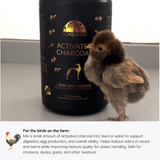Small chick standing next to a container of Schizandu Activated Charcoal for greyhounds on a neutral background.
