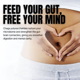 Person forming a heart shape with their hands over their stomach, with text about gut health and Chaga polysaccharides.