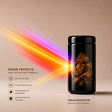 CHAGA Mushroom Extract 8:1, organic