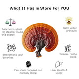 Illustration of a reishi mushroom with health benefits listed on a white background