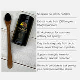 Chaga mushroom extract bottle with wooden spoon on a light wooden surface