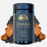 Schizandu Chaga supplement bottle with chaga mushroom on a white background