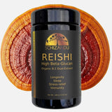 Schizandu Reishi Mushroom Extract organic 8:1 dual extract with high Beta-Glucans