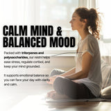 Woman meditating with text about reishi benefits for stress relief and mood balance.