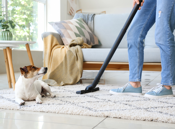 8 Simple Ways To Detox Your Home