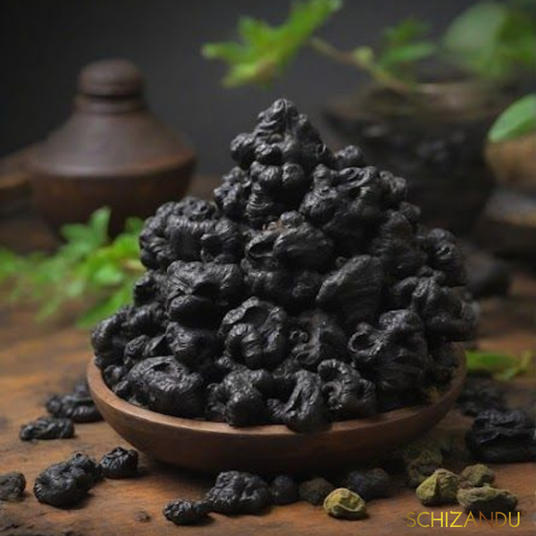 What Makes Shilajit So Special: Delving Into the Fascinating World of This Ancient Resin
