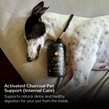 Clean Inside & Out I PET (SALE, save 20%)