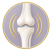Joint, Cartilage & Bone Support