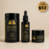 Back-to-School Balance Bundle (Save $52) + Free Shipping