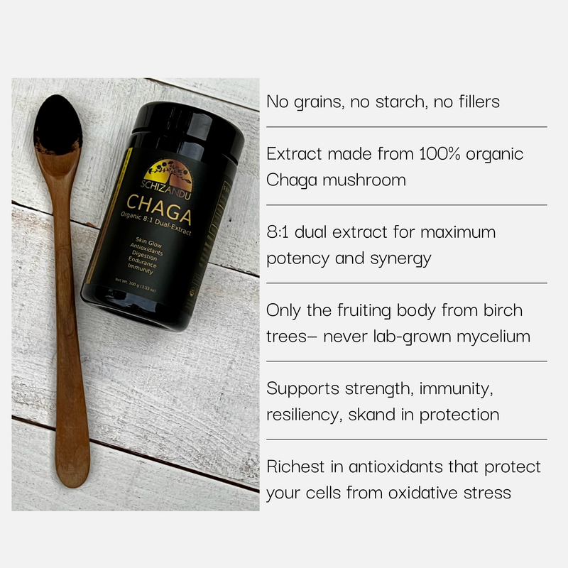 Chaga mushroom extract bottle with wooden spoon on a light wooden surface