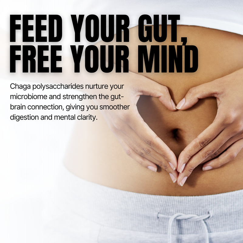 Promotional graphic with hands forming a heart shape over a person's stomach, featuring text about Chaga polysaccharides and gut-brain connection.