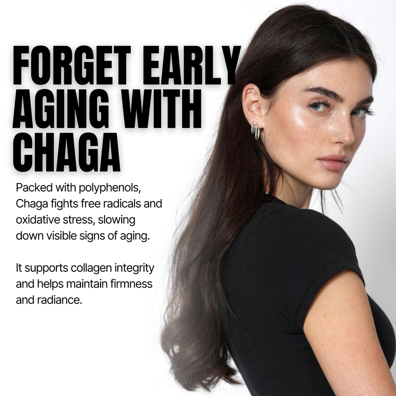 CHAGA Mushroom Extract 8:1, organic