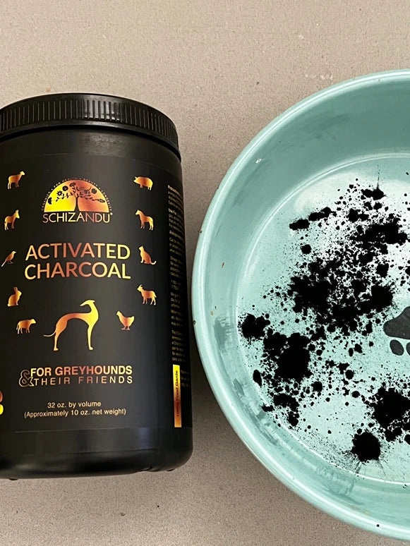 The Activated Charcoal for greyhounds and their friends opened, Schizandu