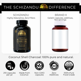 Comparison of Schizandu coconut activated charcoal supplement with Brand X product, highlighting differences and features.