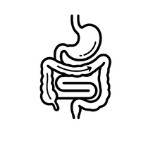 Gut & Digestive Health