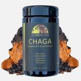 Schizandu Chaga supplement bottle with chaga mushrooms on a white background