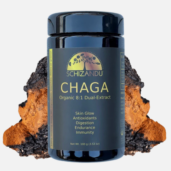 Schizandu Chaga supplement bottle with chaga mushrooms on a white background