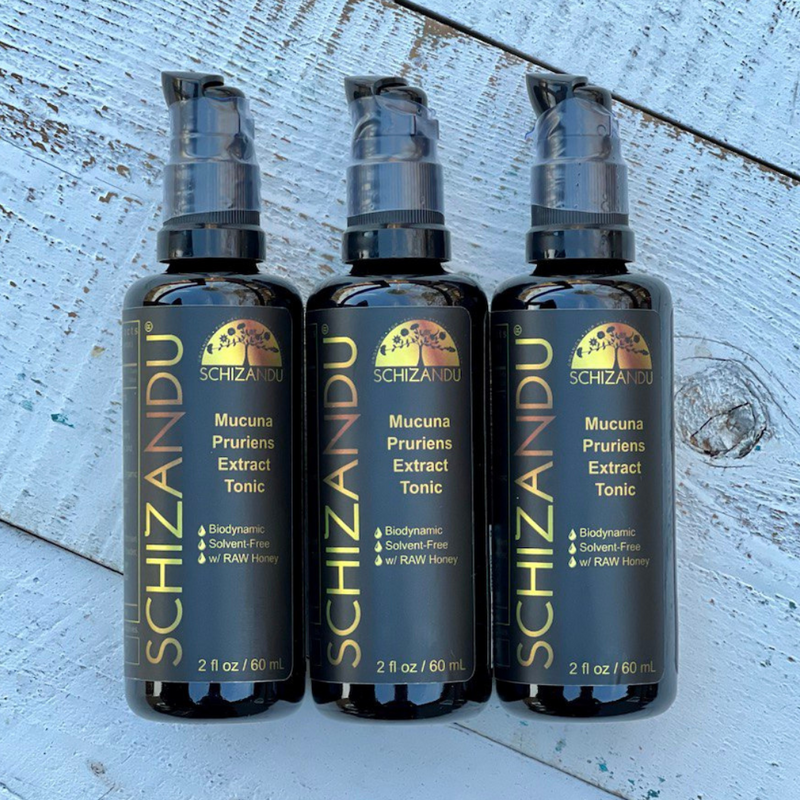 Mucuna Pruriens Extract Tonic (NEW!)