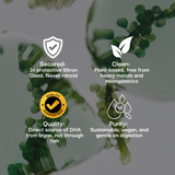 A promotional graphic with a close-up background of green algae or seaweed and four white text callouts with icons: secured in protective Miron glass, clean and plant-based, quality/guarantee, and pure/sustainable. No actual product is clearly shown for sale, so this fits Other rather than Product/Packaging or Instruction Diagram.
