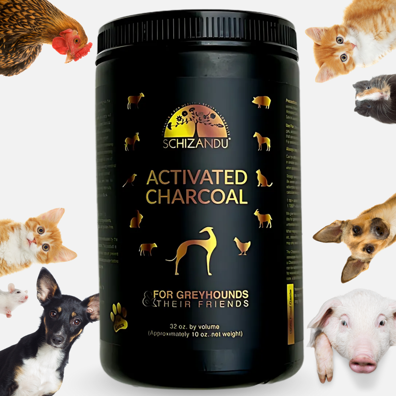 Activated Charcoal for Pets, 100% Pure FOOD GRADE, 32 oz Size Jar (10 oz by WEIGHT)