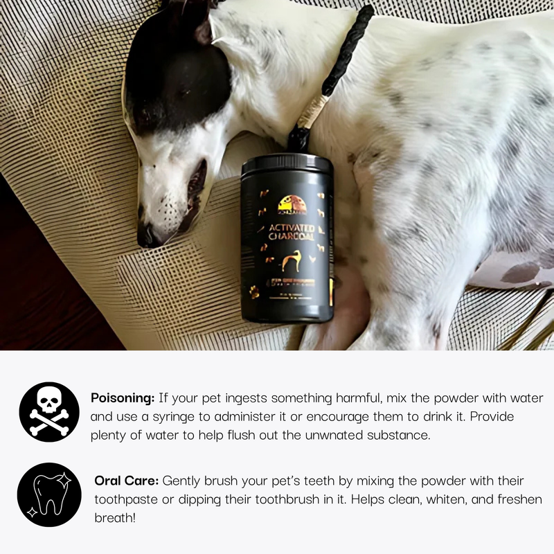 Dog lying next to a container of Activated Charcoal for pets with text about its uses.