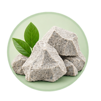 Pure Clinoptilolite