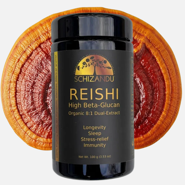 Black container of Schizandu Reishi with reishi mushroom in the background