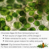 Microscopic view of Chromista Algae Oil with text about its properties and uses.