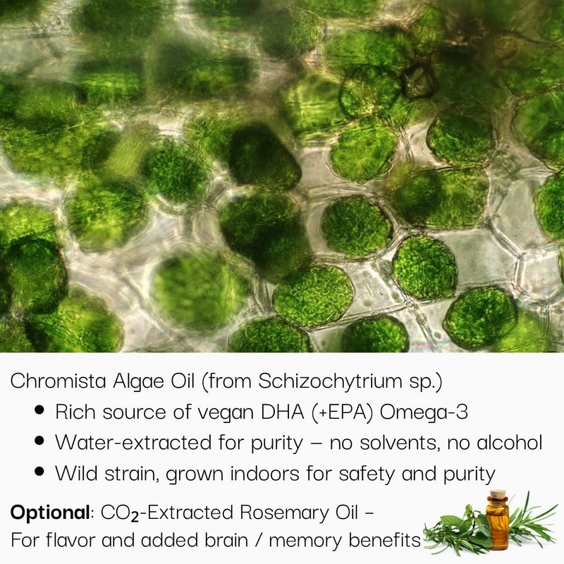 Microscopic view of Chromista Algae Oil with text about its properties and uses.