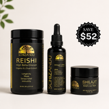 Back-to-School Balance Bundle (Save $52)
