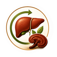 Support Liver & Natural Detox