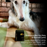 Clean Inside & Out I PET (SALE, save 20%)