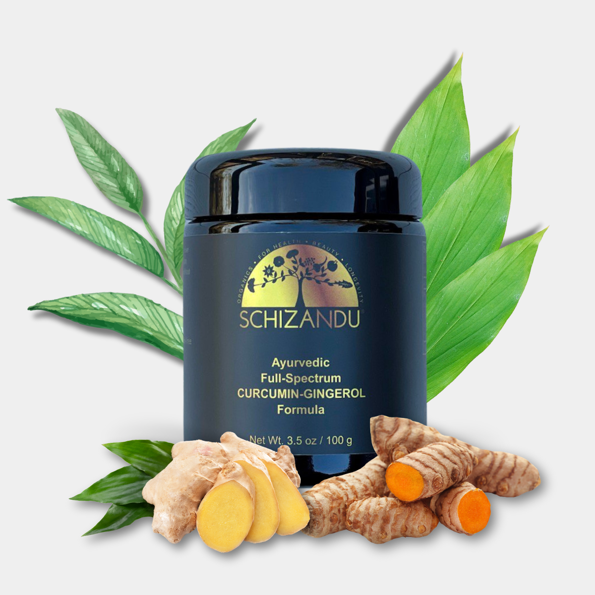 Ayurvedic Curcumin + Gingerol superfood powder in a Miron violet glass jar.