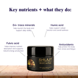 Shilajit jar with key nutrients and their functions on a white background