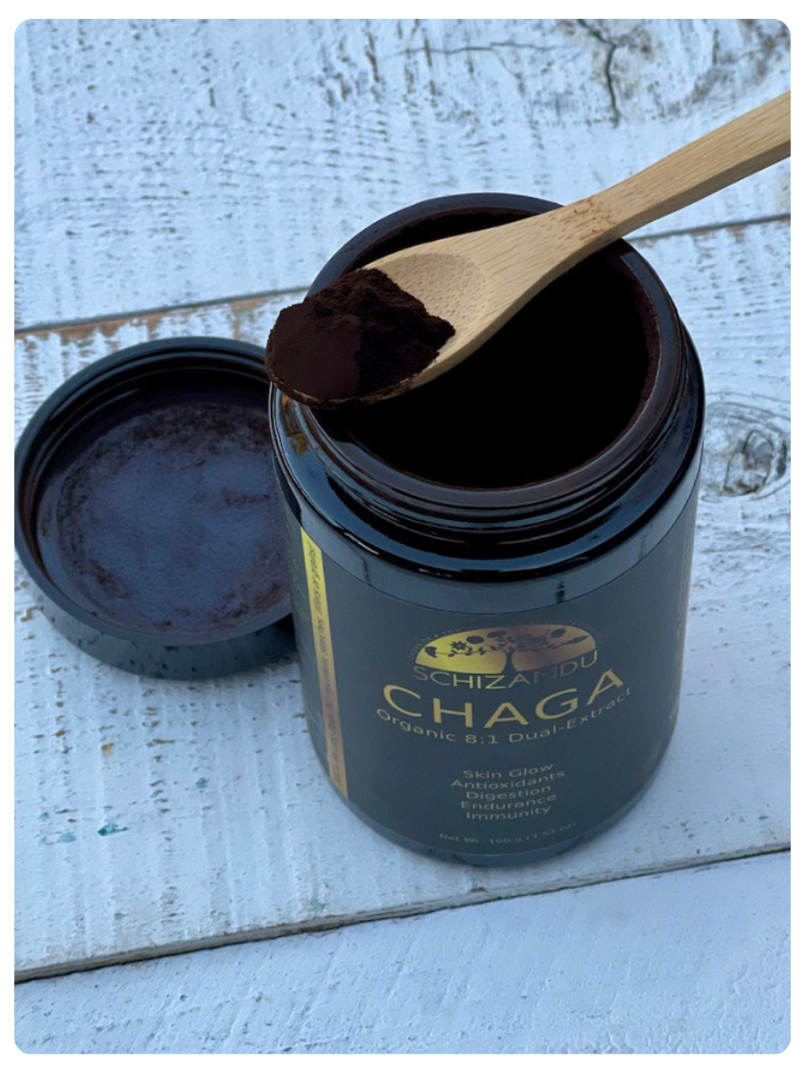 A jar of schizandu Chaga mushroom extract with its lid off, showing a wooden spoon filled with the dark brown powder on a white distressed wooden surface.