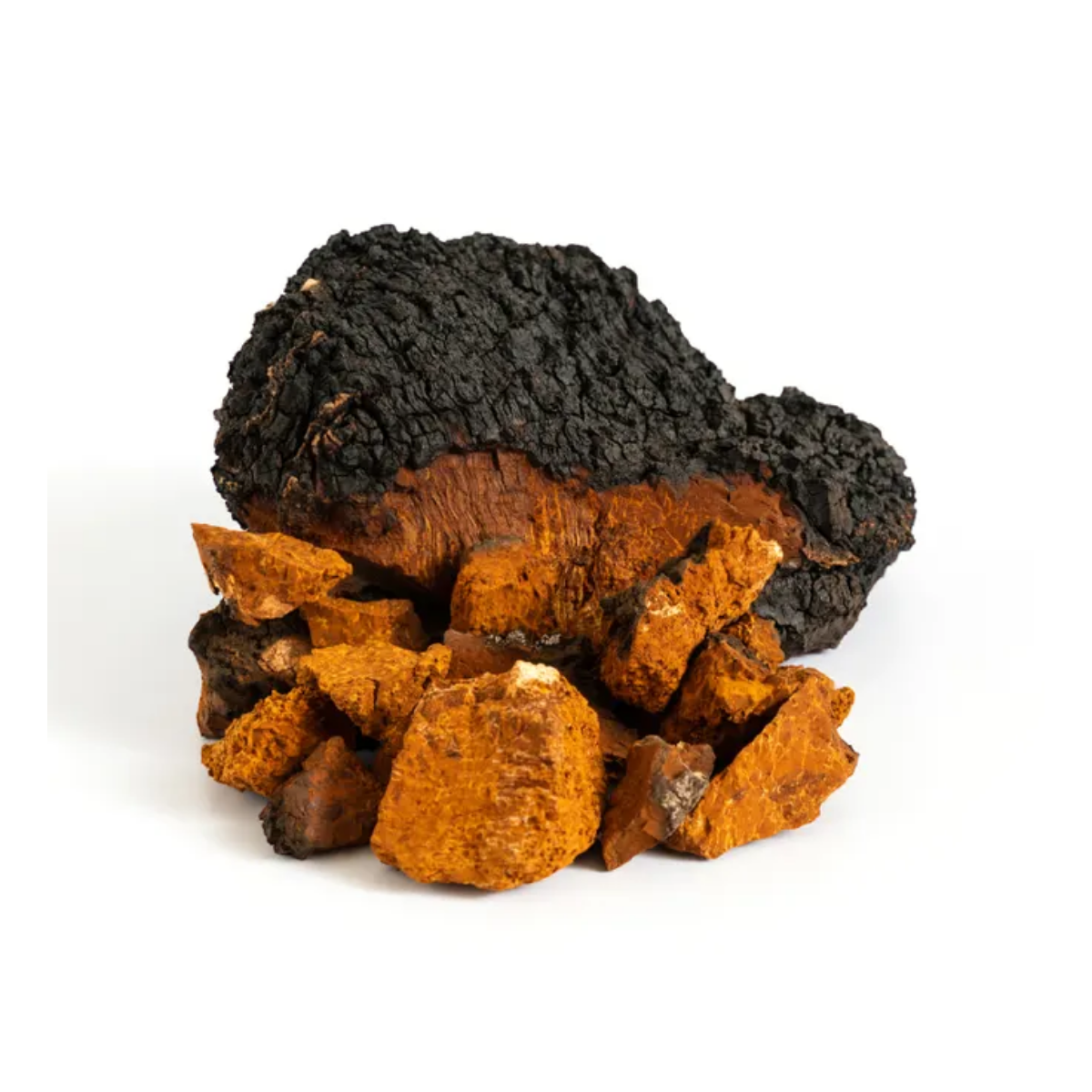 A pile of natural chaga mushroom or bark pieces, including a large dark blackened piece and several smaller bright orange-brown pieces, photographed on a plain white background.