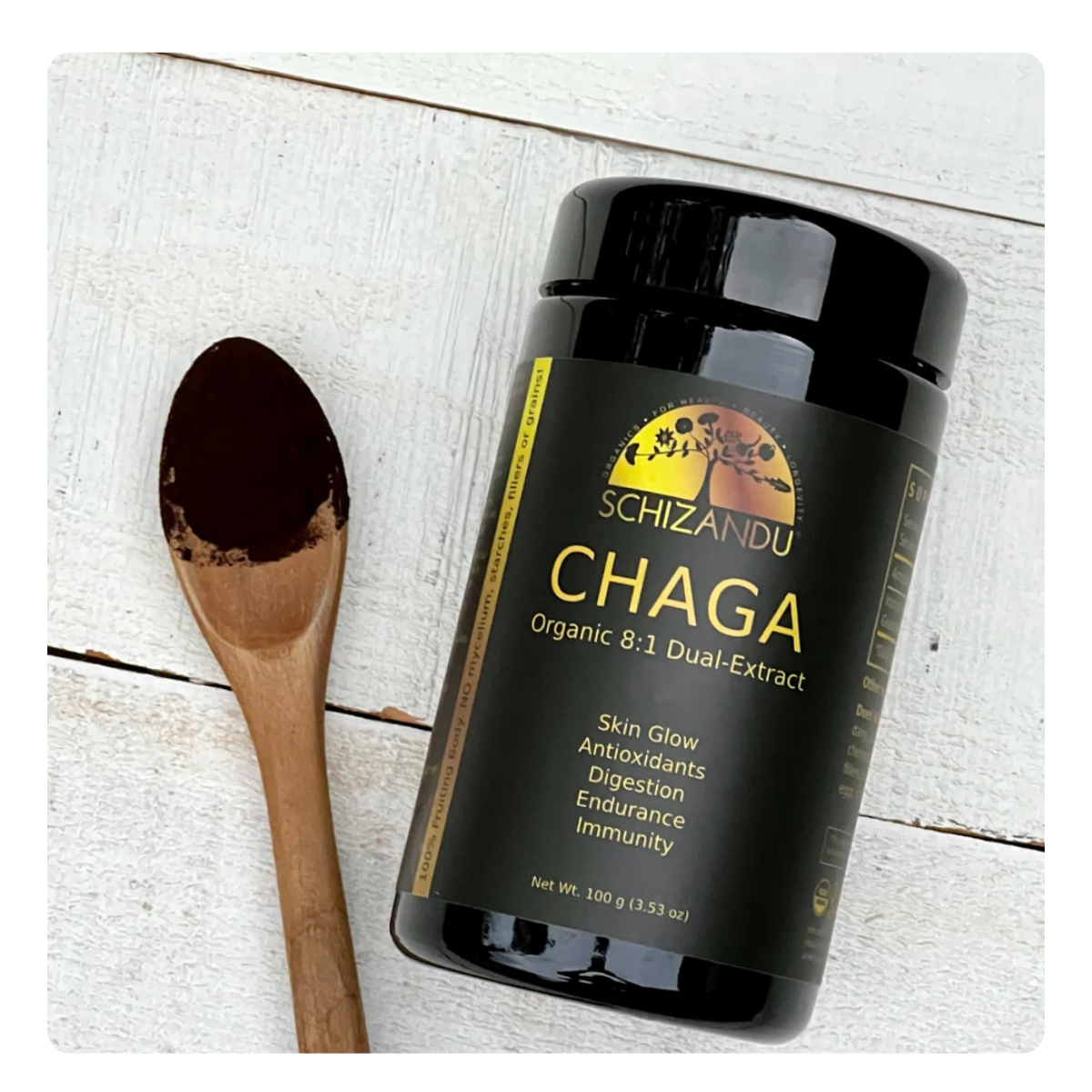 A black plastic jar of Schizandu Chaga Organic 8:1 Dual-Extract supplement powder, shown next to a wooden spoon filled with the dark brown powder on a white wood plank background.