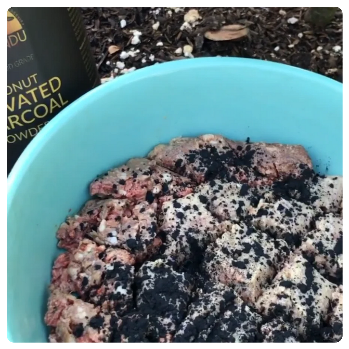 A light blue bowl filled with a mixture of beige coconut flakes and black powder, with a black bottle labeled 'COCONUT POWDER' partially visible in the background on a soil surface.