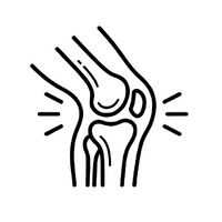 Joint & Inflammation Support