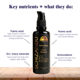 Schizandu bottle with key nutrients and their functions on a wooden surface