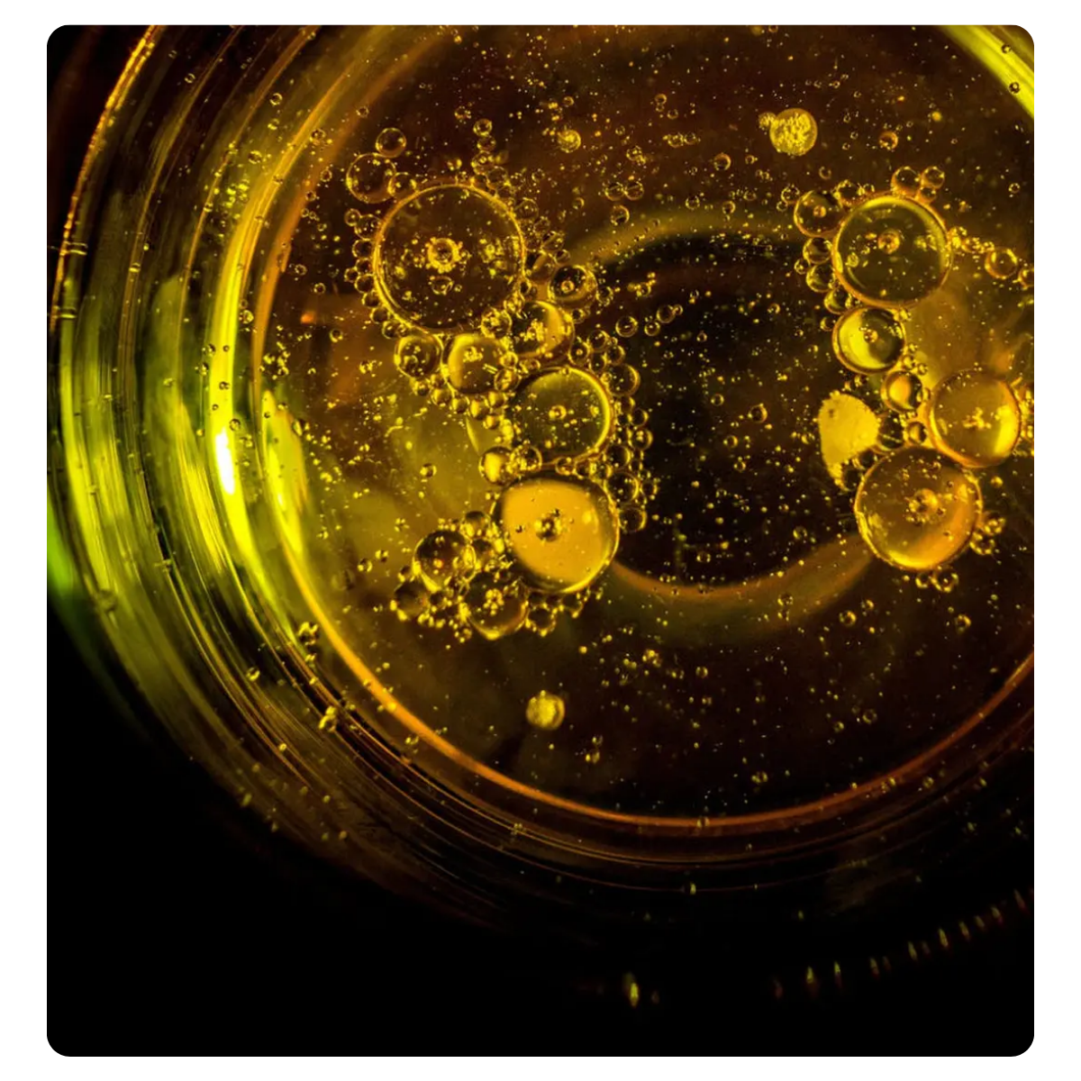 A close-up of a round glass container filled with golden yellow liquid, showing suspended bubbles and light refractions against a dark background.
