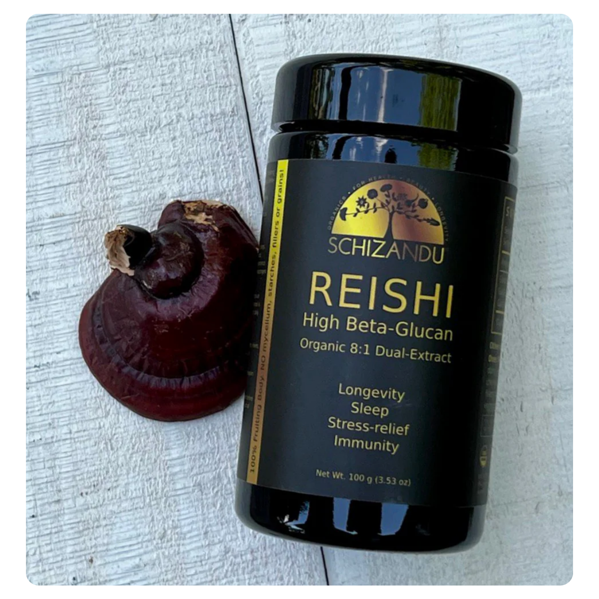 A bottle of Schizandu Reishi High Beta-Glucan supplement next to a whole reishi mushroom on a light gray wood background.